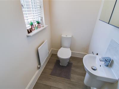 Picture 7